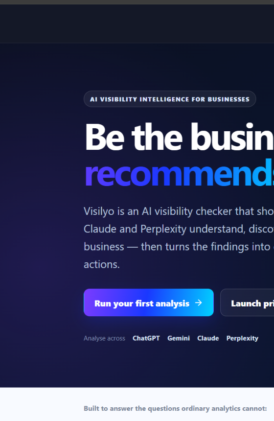 Preview of the Visilyo website